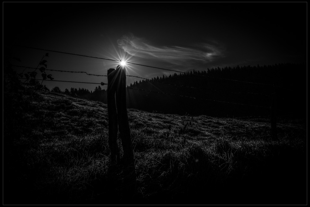 6. Platz Florian Rothfelder